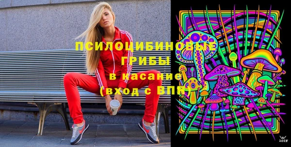 стаф Белокуриха