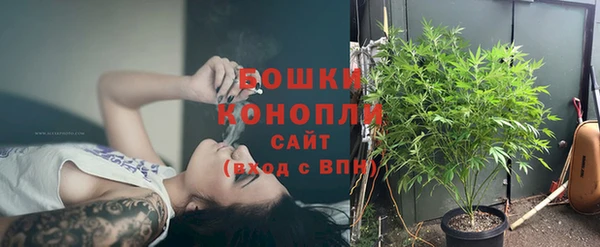 стафф Беломорск